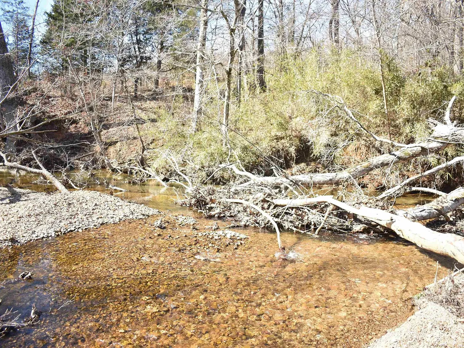 1.59 acres for sale in Wayne, Tennessee