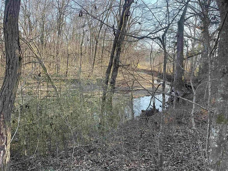 1.59 Acres with Creek Frontage - Clifton, TN — photo 2