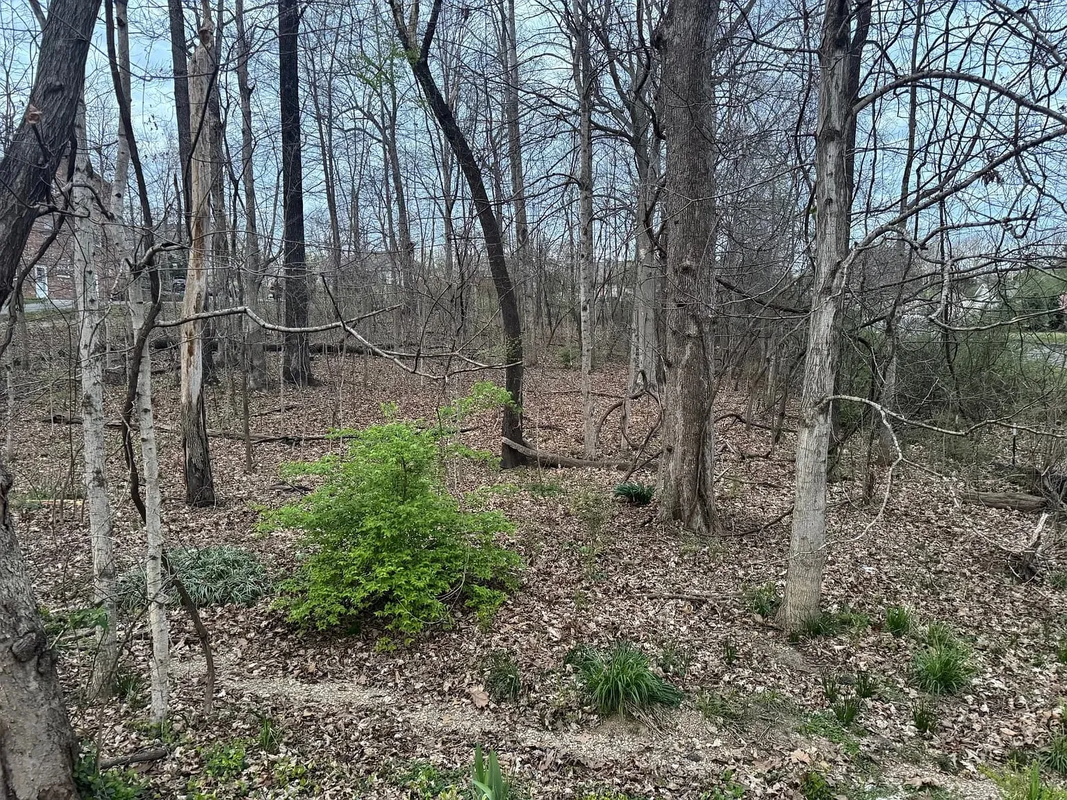 .7 acres for sale in Dickson, Tennessee