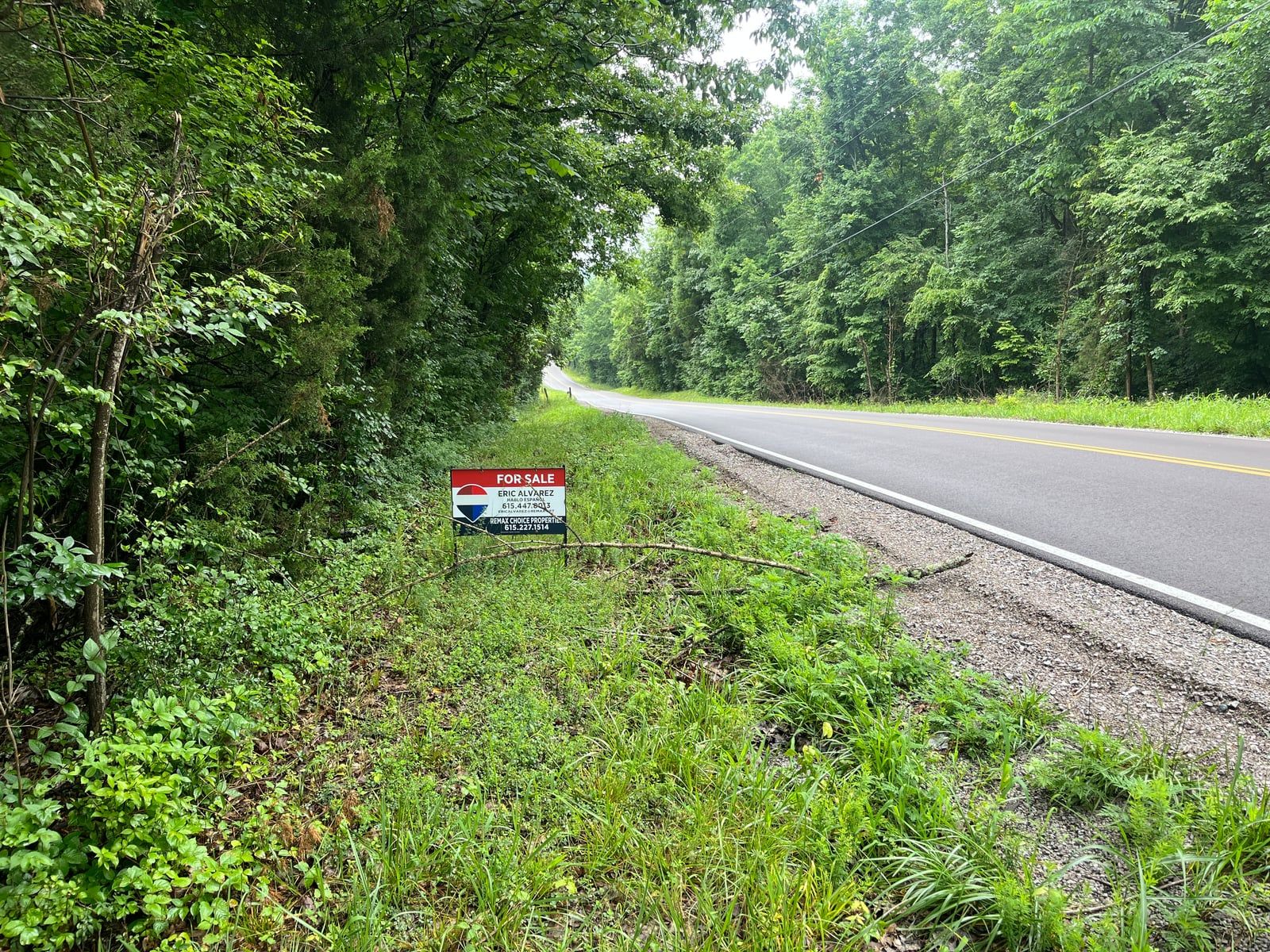 5.5 Acres - Chapel Hill, TN — photo 5