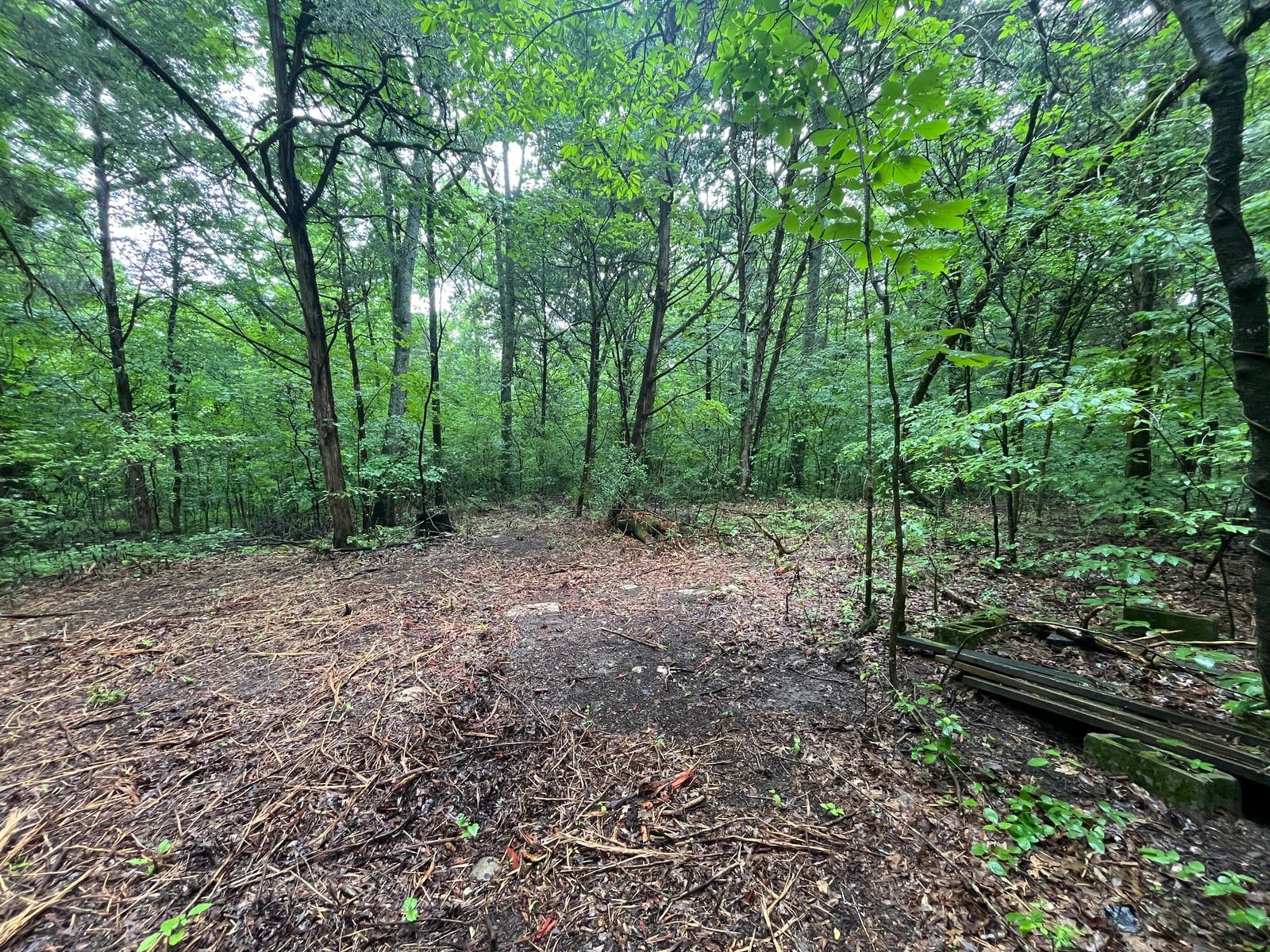 5.5 Acres - Chapel Hill, TN — photo 3